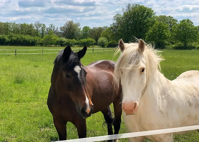 Appartement La Belle Vie