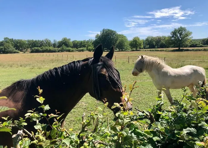 La Belle Vie * Chamblet